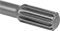 Spline
