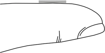Image of Product. Side1 orientation. Contains SizingReference. Bend-and-Stay Economical 430 Stainless Steel Wire, 0.04" Diameter, 1 Foot Long.
