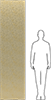 Brass
