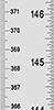 Rulers