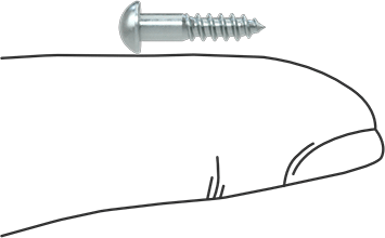 Image of Product. Side1 orientation. Contains SizingReference. Slotted Decorative Rounded Head Screws, for Wood, Zinc-Plated Steel, Number 4 Size, 1/2" Long.