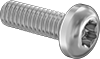 Rounded Head Screws