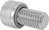 Socket Head Screws
