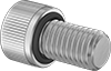 Socket Head Screws