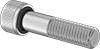 Sealing Socket Head Screws