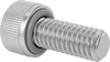 Sealing Socket Head Screws