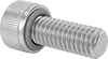 Sealing Socket Head Screws