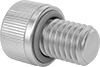 Sealing Socket Head Screws