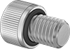 Socket Head Screws