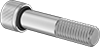 Sealing Socket Head Screws
