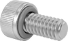 Sealing Socket Head Screws