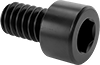 Socket Head Screws