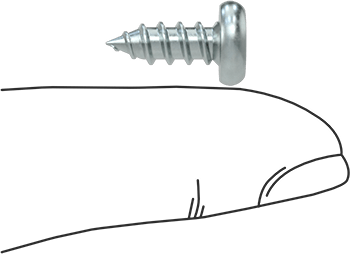 Image of Product. Side1 orientation. Contains SizingReference. Zinc-Plated Steel Slotted Rounded Head Screws, for Sheet Metal, Number 10 Size, 1/2" Long.