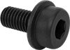 Socket Head Screws