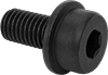 Socket Head Screws