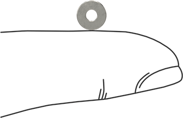 Image of Product. Side1 orientation. Contains SizingReference. Highly Corrosion-Resistant 316 Stainless Steel Washer, for Number 2 Screw Size, General Purpose, 0.094" ID.