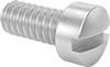 Brass Fillister Head Slotted Screws