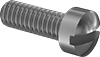 Brass Fillister Head Slotted Screws