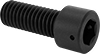 Socket Head Screws