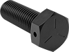 Hex Head Screws