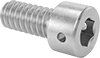 Stainless Steel Wire-Locking Socket Head Screws