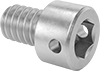 Stainless Steel Wire-Locking Socket Head Screws