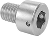 Socket Head Screws