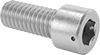 Stainless Steel Wire-Locking Socket Head Screws