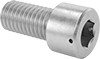 Stainless Steel Wire-Locking Socket Head Screws