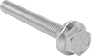 Stainless Steel Flanged Hex Head Screws