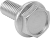 Stainless Steel Flanged Hex Head Screws