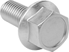 Stainless Steel Flanged Hex Head Screws