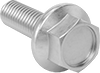 Stainless Steel Flanged Hex Head Screws