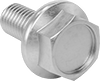 Stainless Steel Flanged Hex Head Screws