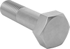 Hex Head Screws