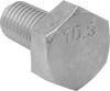 Hex Head Screws