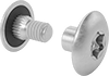 Binding Barrel Posts and Screws