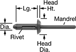 Image of Product. Acetal Mandrel. Front orientation. Contains Annotated. Acetal Mandrel. Plastic Blind Rivets.