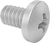 Titanium Pan Head Phillips Screws