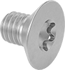 Flat Head Screws