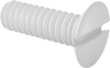 Flat Head Screws
