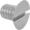 Steel Slotted Flat Head Screws