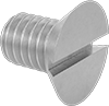 Steel Slotted Flat Head Screws