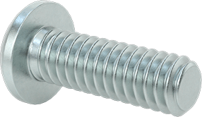Image of Product. Back orientation. Steel Decorative Round Head Phillips Screws, 1/4"-20 Thread Size, 3/4" Long.