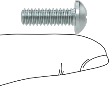 Image of Product. Side1 orientation. Contains SizingReference. Steel Decorative Round Head Phillips Screws, 1/4"-20 Thread Size, 3/4" Long.