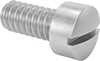 Steel Fillister Head Slotted Screws