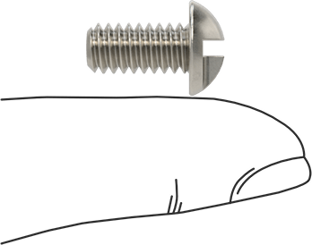 Image of Product. Side1 orientation. Contains SizingReference. Stainless Steel Tamper-Resistant One-Way Round Head Screws, 1/4"-20 Thread Size, 1/2" Long.
