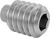 Set Screws