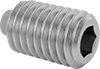 Set Screws