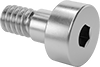 Shoulder Screws